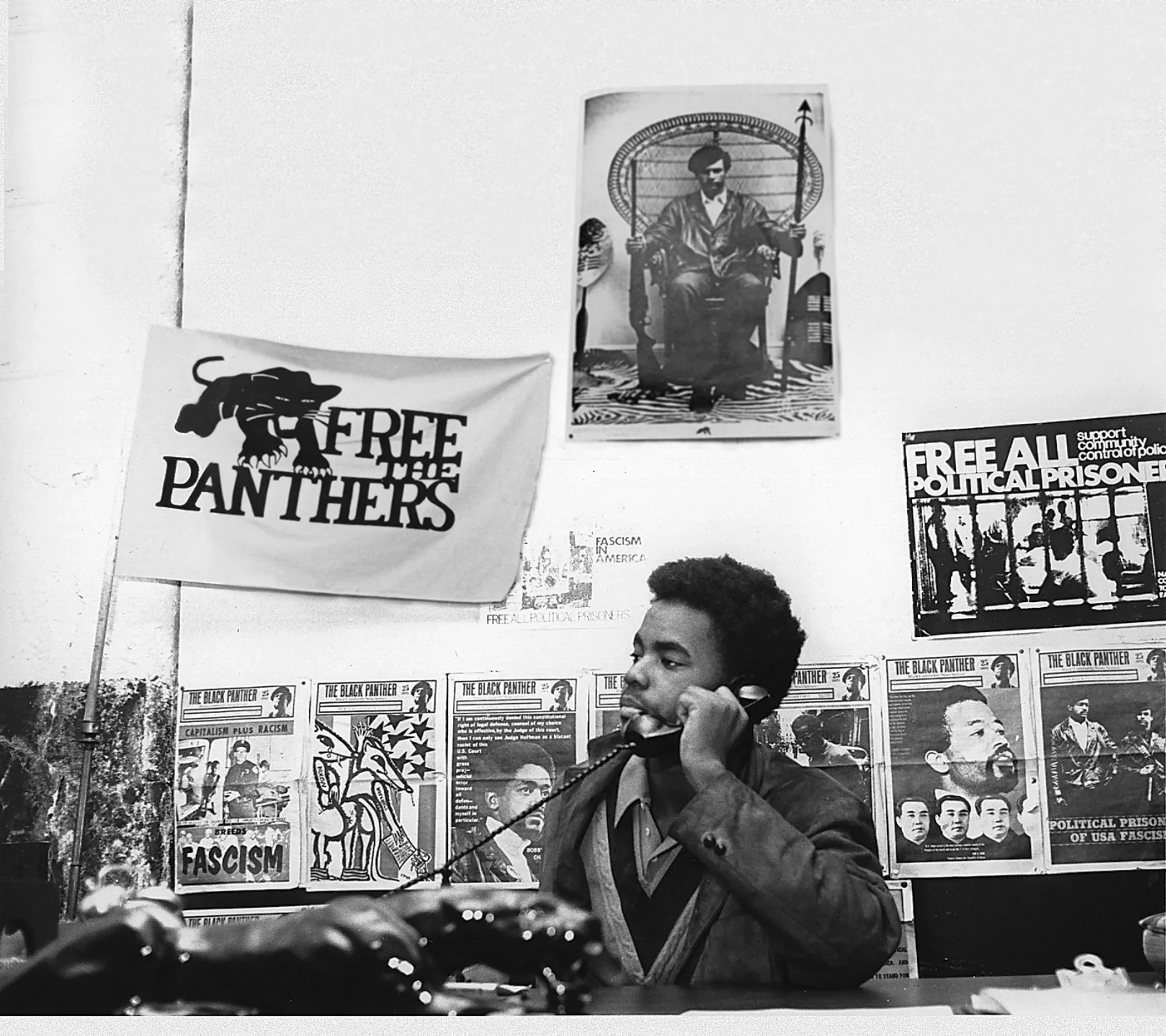 Mumia-Black Panthers Party